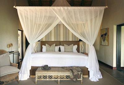 Londolozi offers an exceptional design experience