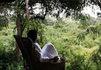 Plunge pools and contemplation decks