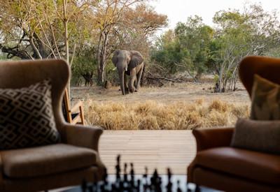 Monwana luxury safari experience and game viewing
