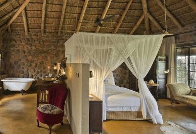 Beautiful and classic safari suites