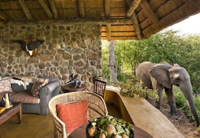 Wildlife on ones' doorstep