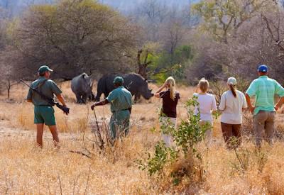 Walking safaris in a private wilderness concession
