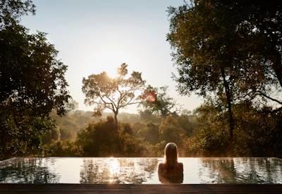 Luxury safari lodge experience at the Royal