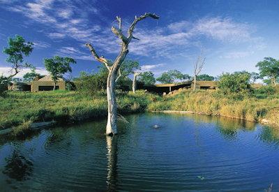 Waterhole and wildlife