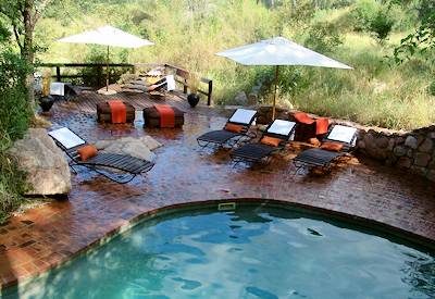 Swimming pool in the Sabi Sabi