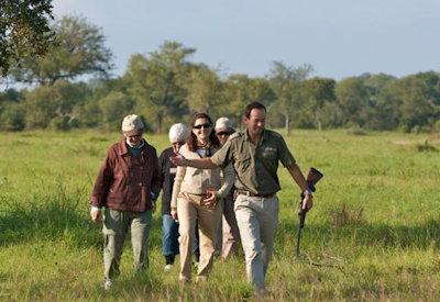 Walking safaris in the Sabi Sabi