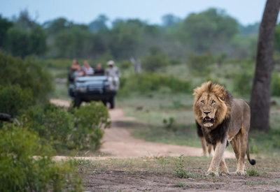 Sabi Sands Game Reserve