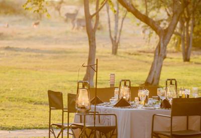 Safari lodge attract wildlife and brdlife
