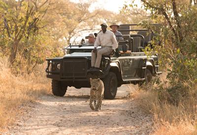 Savanna Private Game Reserve and game drive