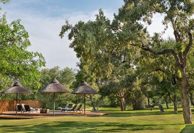 Swimming pool surrounded by Klaserie reserve
