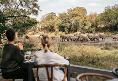 Tranquil african bush experience