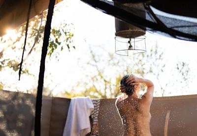 Untamed african wildlife wonderland