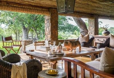 Outdoor dining area and lounge