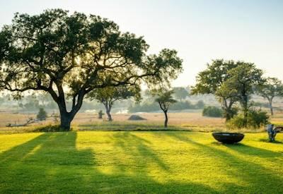 Manicured lawns at Singita Castleton