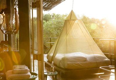 Spend the night outside under a canopy of stars