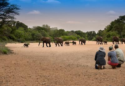Water hole not far from the safari camp