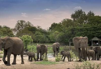 Tanda Tula Safari Camp