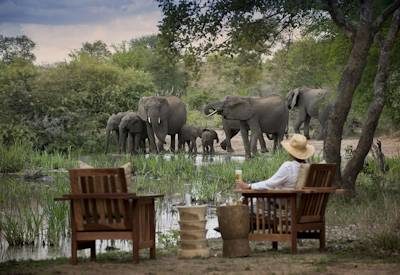 Tanda Tula Safari Camp