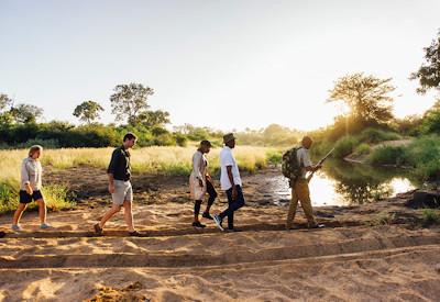 Wildlife viewing in the surrounding nature reserve