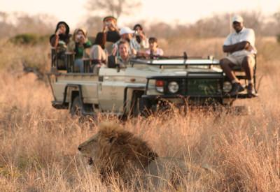 Safaris in the Manyeleti Game Reserve