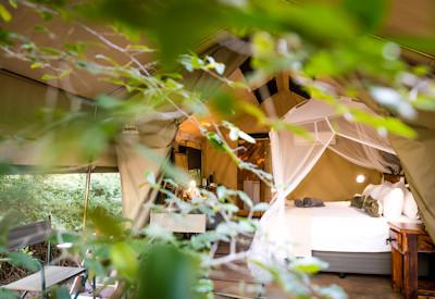 Luxury tented camp and bush lodge