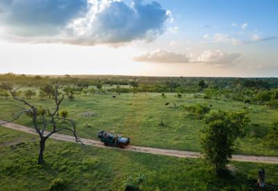Umkumbe in the Sabie Game Reserve region