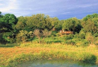 Umlani in the Greater Kruger