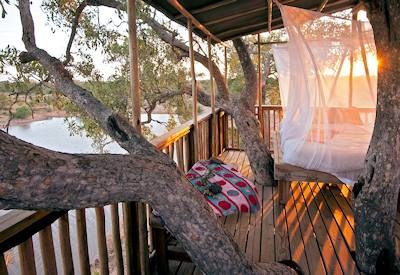 A night in the wilds at the treehouse
