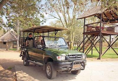 Big Five safari experience