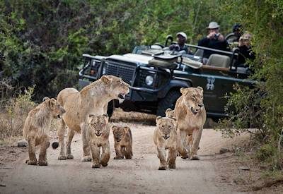 Kruger National Park