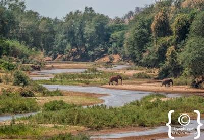 Kruger Park Scenery Photo Gallery