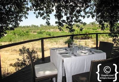 Lion Sands Ivory Lodge Gallery