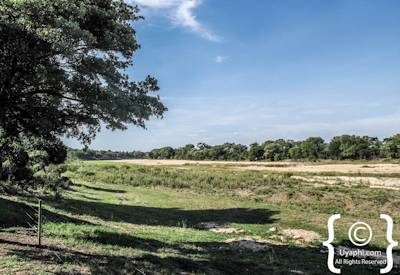 Umkumbe Safari Lodge Photo Gallery