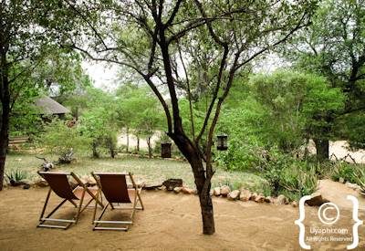 Umlani Bush Camp Photo Gallery