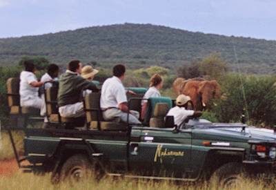 Madikwe Game Reserve