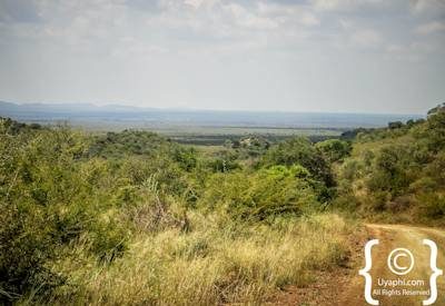 Madikwe Scenery Photo Gallery