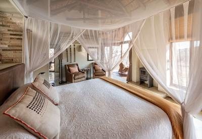 Beautiful safari suites