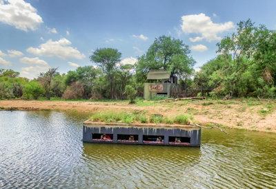 Jaci's Terrapin hide