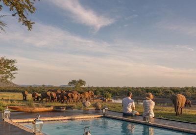 Elephant herds at waterhole