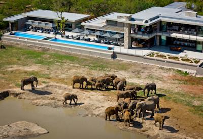 A armchair safari experience