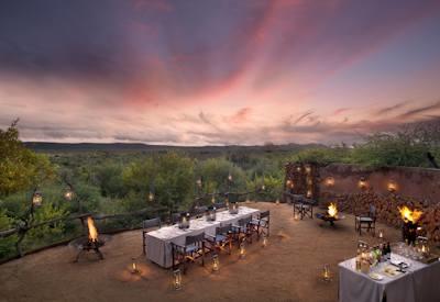 Outdoor dining under stars