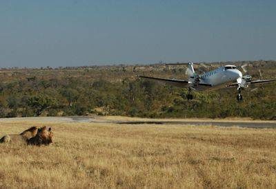 Madikwe Transfer Options