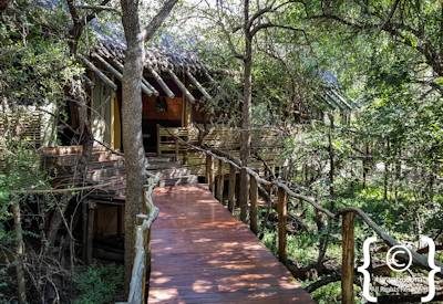 Jaci's Tree Lodge Photo Gallery