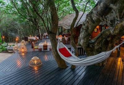 Wooden viewing deck and guest area