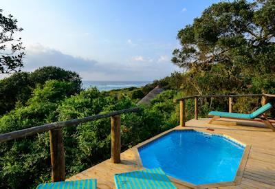 Swimming pool, sun loungers and viewing deck