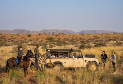 Game drives and horseback safaris