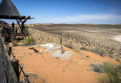 Views of Kgalagadi Transfrontier Park