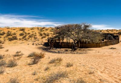 Cultural safari activities