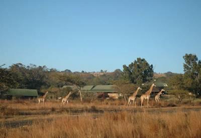 Natal Battlefields & Beach Safari
