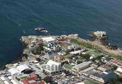 Cape Town to Knysna self drive safari